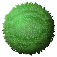 Super Marimo Depth